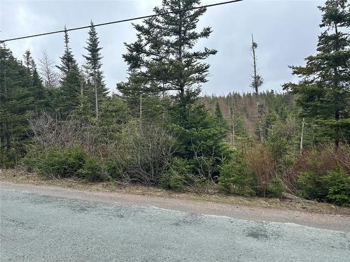 54 Ridge Road, Holyrood, NL 