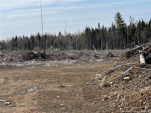 - Semiwagan Rd, Barnaby, NB 