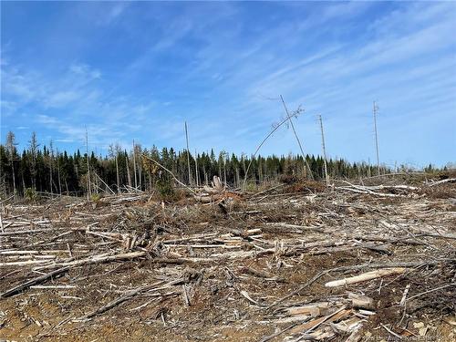 - Semiwagan Rd, Barnaby, NB 