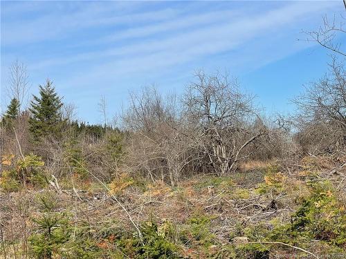 - Semiwagan Rd, Barnaby, NB 