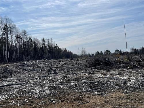 - Semiwagan Rd, Barnaby, NB 