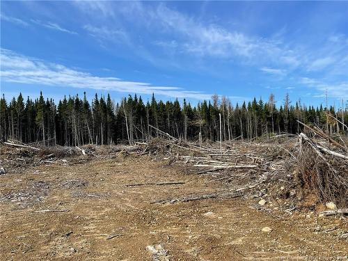 - Semiwagan Rd, Barnaby, NB 