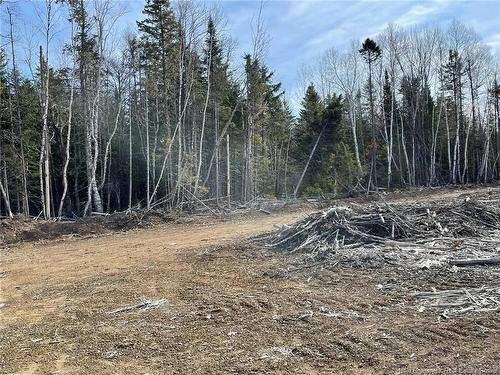 - Semiwagan Rd, Barnaby, NB 