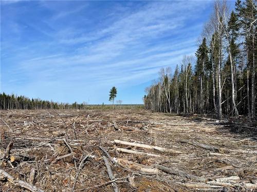 - Semiwagan Rd, Barnaby, NB 