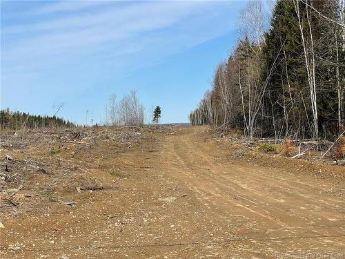 - Semiwagan Rd, Barnaby, NB 