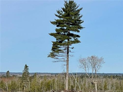 - Semiwagan Rd, Barnaby, NB 