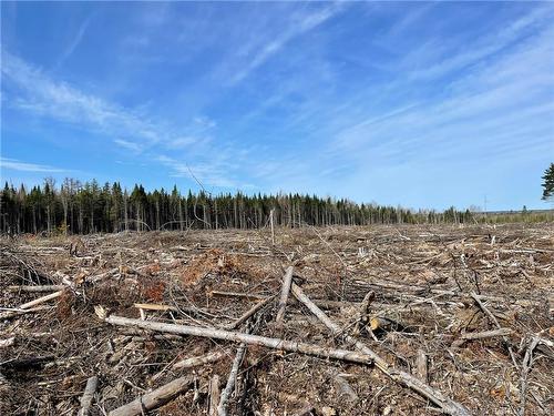 - Semiwagan Rd, Barnaby, NB 