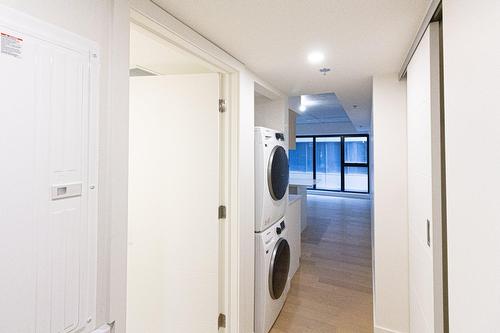Hall - 309-1 Av. Viger O., Montréal (Ville-Marie), QC - Indoor Photo Showing Laundry Room
