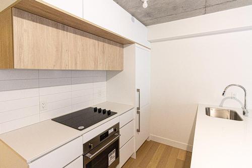 Kitchen - 309-1 Av. Viger O., Montréal (Ville-Marie), QC - Indoor Photo Showing Kitchen
