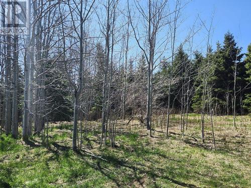 47 Cross Road, Bay Roberts, NL 