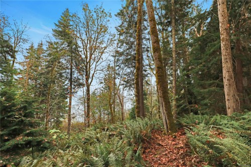 6510 Eagles Dr, Courtenay, BC 