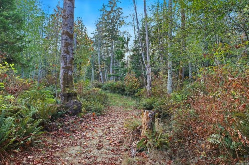 6510 Eagles Dr, Courtenay, BC 