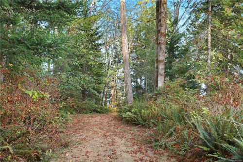6510 Eagles Dr, Courtenay, BC 
