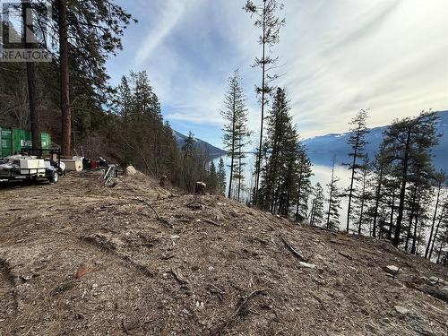 9779 3A Highway, Kuskanook, BC - Outdoor With View