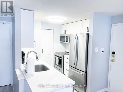 304 - 30 Bridge Street, Kitchener, ON - Indoor Photo Showing Kitchen With Stainless Steel Kitchen