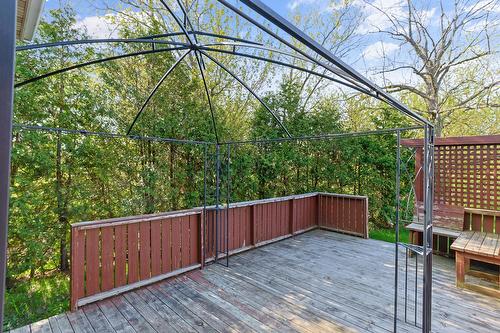 Terrasse - 348 Rg Notre-Dame, Saint-Rémi, QC - Outdoor