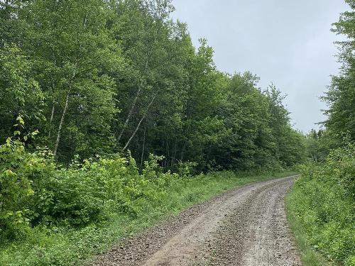 Old Halifax Road, Salt Springs, NS 