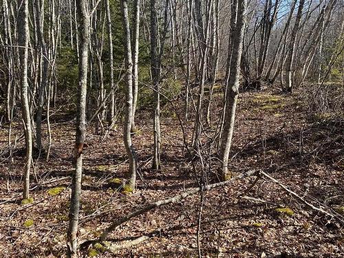 Old Halifax Road, Salt Springs, NS 