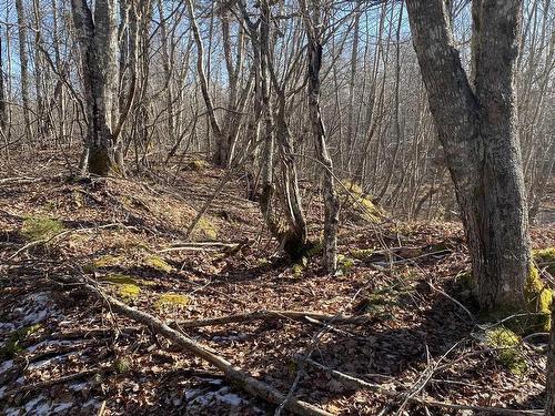 Old Halifax Road, Salt Springs, NS 