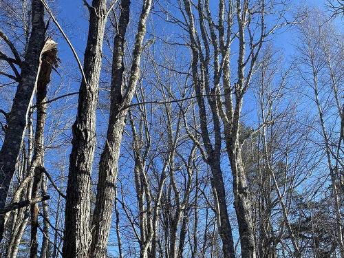 Old Halifax Road, Salt Springs, NS 