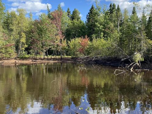 Old Halifax Road, Salt Springs, NS 
