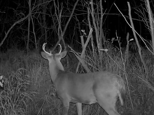 Old Halifax Road, Salt Springs, NS 