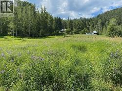 Lot 2 Happy Valley Road Rossland, BC V0G 1Y0