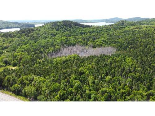 Lot 2024-1 Route 127, Chamcook, NB 