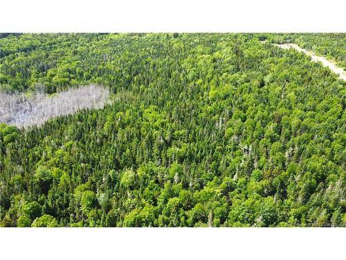 Lot 2024-1 Route 127, Chamcook, NB 