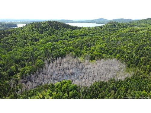 Lot 2024-1 Route 127, Chamcook, NB 