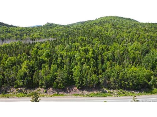 Lot 2024-1 Route 127, Chamcook, NB 