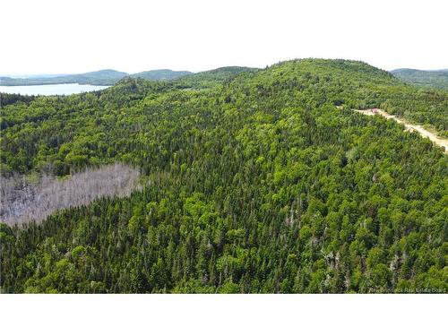 Lot 2024-2 Route 127, Chamcook, NB 