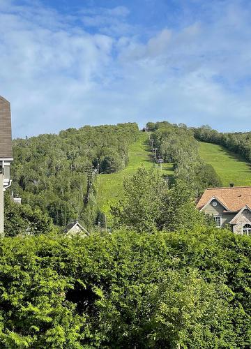 View - 366 Ch. Du Lac-Millette, Saint-Sauveur, QC - Outdoor With View