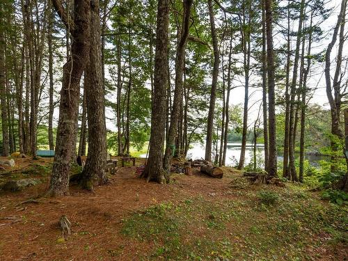 1542 Canaan Road Road, Canaan, NS 