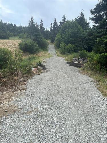 27 Strugnells Marsh Road, Pouch Cove, NL 