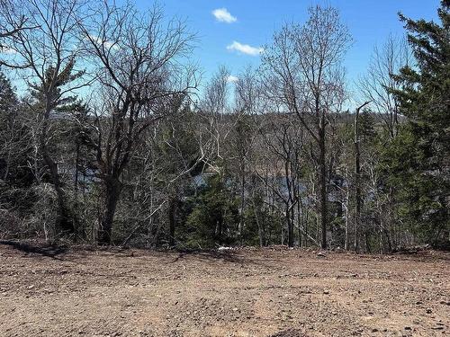 99 Shore Road, Sutherlands River, NS 