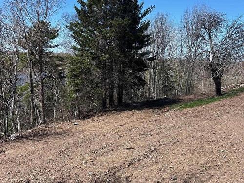 99 Shore Road, Sutherlands River, NS 