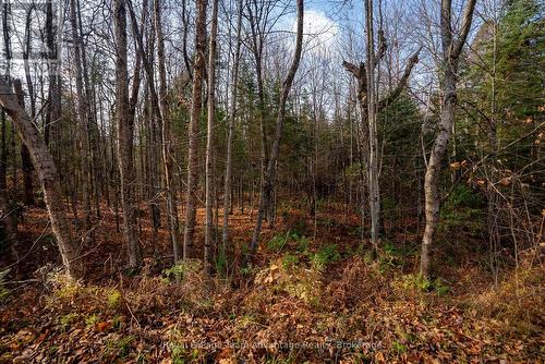 181 Clarkes Lane, Huntsville (Stephenson), ON 