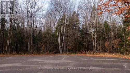 181 Clarkes Lane, Huntsville (Stephenson), ON 