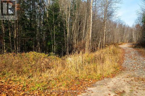 181 Clarkes Lane, Huntsville (Stephenson), ON 