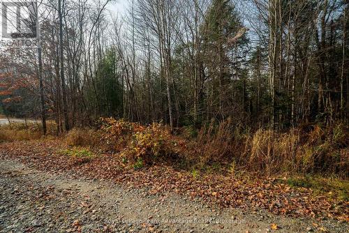 181 Clarkes Lane, Huntsville (Stephenson), ON 