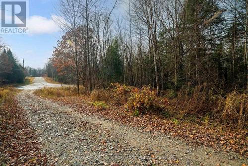 181 Clarkes Lane, Huntsville (Stephenson), ON 