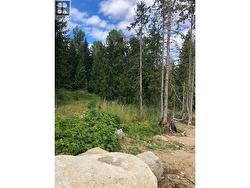 311 RIDGE Road  Rossland, BC V0G 1Y0