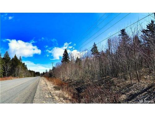 Lot 88-109 Bunker Hill Rd, Wilsons Beach, NB 