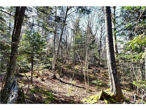 Lot 88-109 Bunker Hill Rd, Wilsons Beach, NB 
