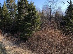 Lots 14 & 15 Highview & Clough Ave  Port Hastings, NS B9A 1K8