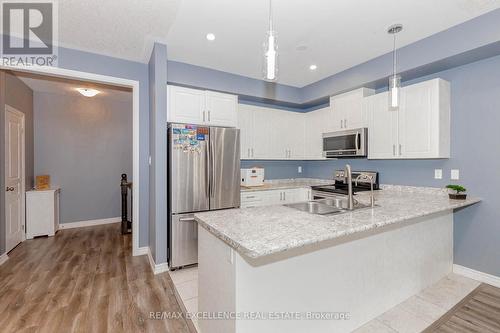9 Hiscott Drive, Hamilton, ON - Indoor Photo Showing Kitchen With Double Sink With Upgraded Kitchen