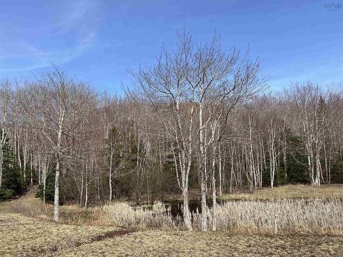 Old Mulgrave Road, Monastery, NS 