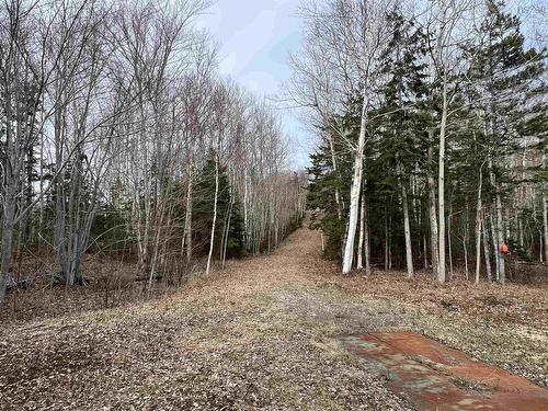 Old Mulgrave Road, Monastery, NS 