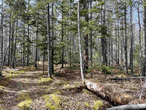 Old Mulgrave Road, Monastery, NS 